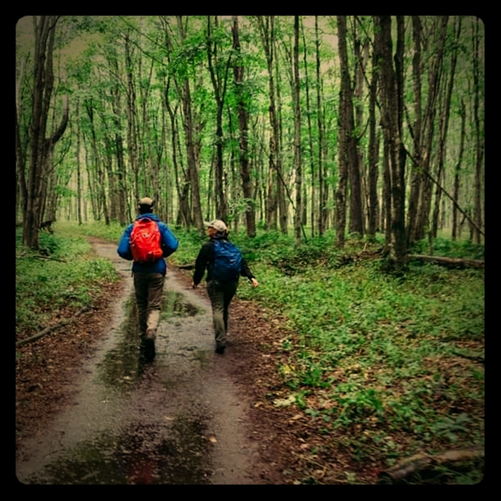 Meet your Posher, Chelsie